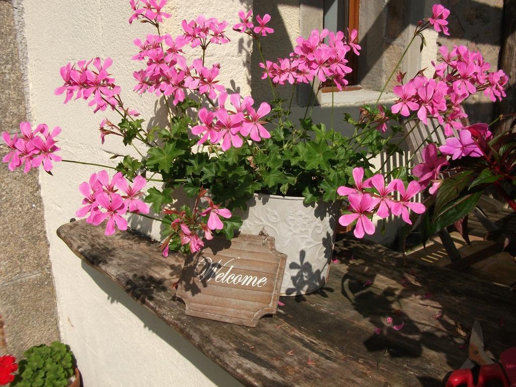 38 Friaudour Bed & Breakfast Saint-Pardoux-lʼOrtigier Dış mekan fotoğraf