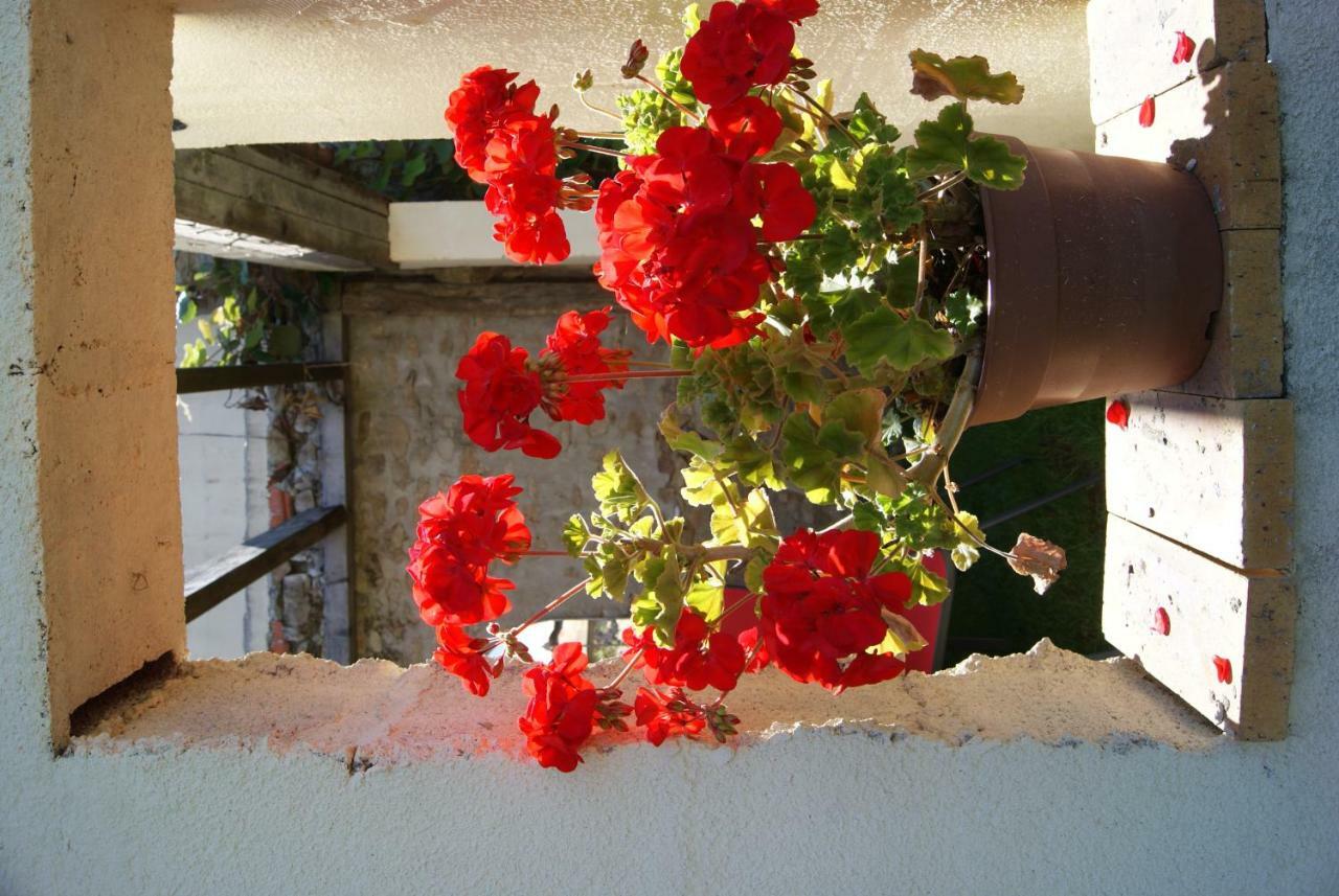 38 Friaudour Bed & Breakfast Saint-Pardoux-lʼOrtigier Dış mekan fotoğraf